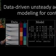 Interpretable Aeroelastic Models For Control At Insect Scale