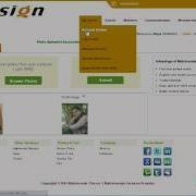 Matrimonial Advance User Demo PHP Scripts Mall
