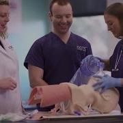 CCAC Healthcare 30 Second TV Commercial 2017