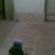 Ball Follower Robot