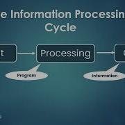 Information Processing Cycle CAT