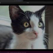 Automatic Image Cropping And Resizing For Image Datasets With Katna