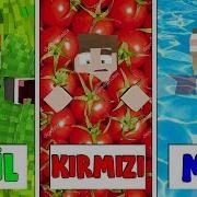 TEK RENK SAKLAMBAÇ CHALLENGE Minecraft