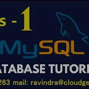 MySQL With Python Class 1 How To Install And Configure MySQL In Linux
