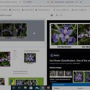 Machine Learning Lab Program 9 K Nearest Neighbour Algorithm To Classify The Iris Data Set