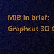 MIB In Brief Graphcut 3D Grid A New Mode Of Semi Automatic Segmentation