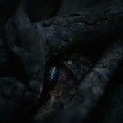 The Forest Un Wept Official Video