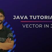 Introduction To Vector Java Programming In Hindi