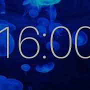 16 Minute Timer With Ambient Music And Jellyfish