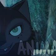 Animals Wolfwalkers Animash MEP Parts