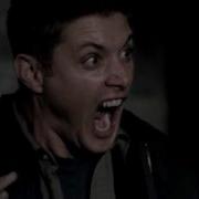 Supernatural Cat Scene HD 720p