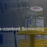 High Content Screening Of Mycobacteria By Microscopic Phenotypic Assay Protocol Preview