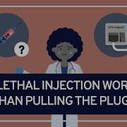 PHILOSOPHY BIOETHICS 6 Is Lethal Injection Worse Than Pulling The Plug