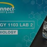 Biology 1103 Lab 2 Microbiology