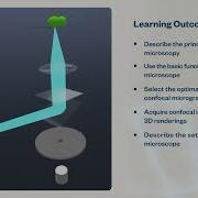 Confocal Microscopy Virtual Lab
