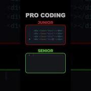 Junior Developer Vs Senior Developer Programming Coding Html Css Javascript