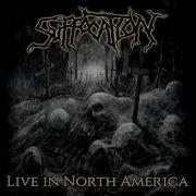 Pierced From Within Live