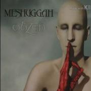 Meshuggah Electric Red