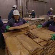 Бекон Передача Как это работает How It S Made Сезон 9 HD