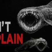 The Deeper You Go The Creepier Sharks Get