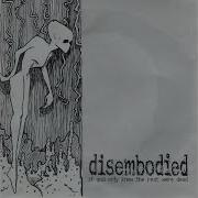 Bloodshed Rain