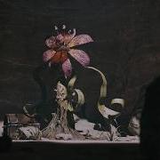 Carnivorous Plant Animation Test EEVEE Real Time Render BLENDER 2 83