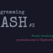 Programming BASH 3 Debugging