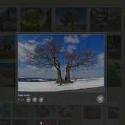 JQuery Lightbox Windows Mac Versions