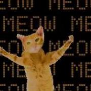 Dancing Cats Go Kitty Go YouTube Flv