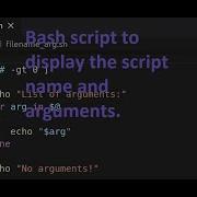Bash Script To Display The Script Name And Arguments
