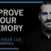Understand Improve Memory Using Science Based Tools Huberman Lab Essentials