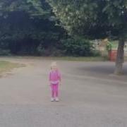 Safe Cross Code In Marlay Park