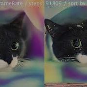 Pixel Bubble Sorting Visualization On A Colorful Cat Img 320x303