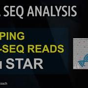 RNA Seq Analysis Mapping Genome Reads With STAR Aligner And Visualizing With IGV Episode 1