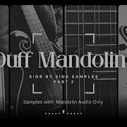 Duff Mandolin S Side By Side Part 2 Mandolins Only