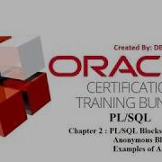 Chapter 2 PL SQL Blocks Anonymous Block
