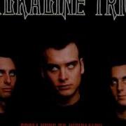 Alkaline Trio Stupid Kid