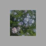 Maybe In Another Life Playlist