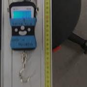 Centripetal Force Lab Data 4