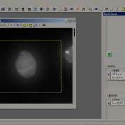 AutoQuant Deconvolution Batch Processing Tutorial
