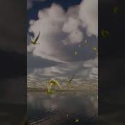 Birds Flock Unreal Engine Niagara Tutorials UE4 Niagara Bird Flock