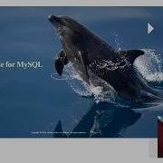 Docker Compose Setup For MySQL InnoDB Cluser By Balasubramanian Kandasamy