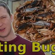 Why We Won T Be Eating Bugs In The Future