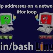 Bash Script For Check Free Ip Address English