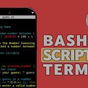 Объяснение Bash скриптов в Termux Запуск Bash скриптов на Android