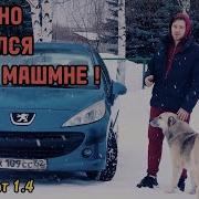 АВТО В КОТОРОМ Я СИЛЬНО ОШИБАЛСЯ ПЕЖО 207 на роботе 2008 года 88 л с