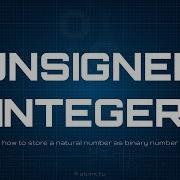 Unsigned Integer
