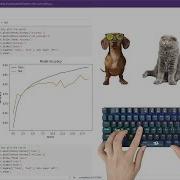 Dog And Cat Classification With AI Machine Learning And Deep Learning ASMR Programming
