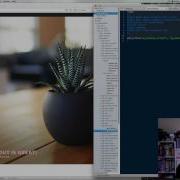 Adding JavaScript To Every WordPress Site Page
