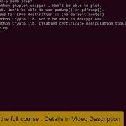 Scapy Example Ping Packet